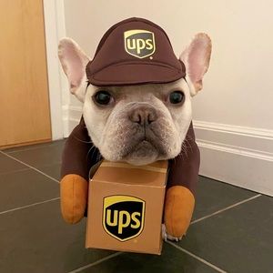 frenchie ups costume